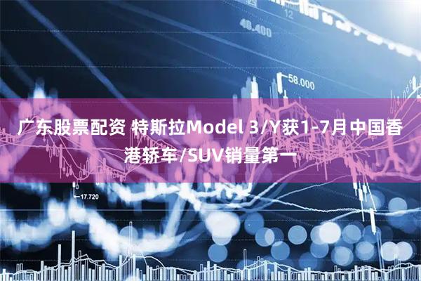 广东股票配资 特斯拉Model 3/Y获1-7月中国香港轿车/SUV销量第一